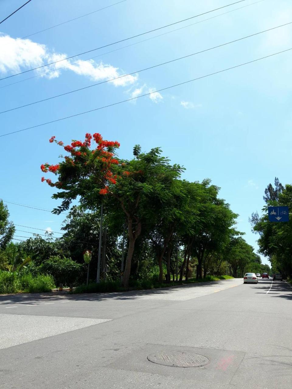 Dai Yi Shia B&B Fushi Exterior photo